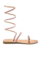 Havana Gladiator Sandal