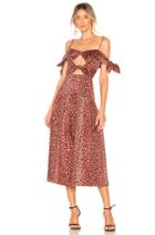 Leopard Bow Dress