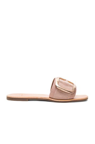 Ajay Sandal