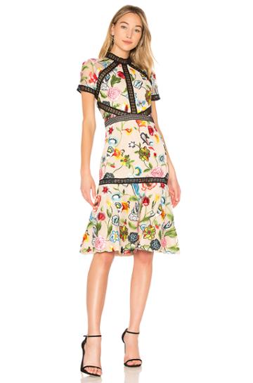 Caterina Dress