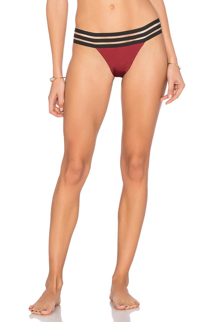 Sheer Addiction Skimpy Bikini Bottom