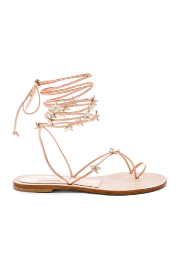 Stellina Sandal
