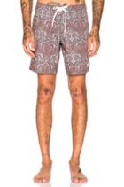 Bazaar Trunk