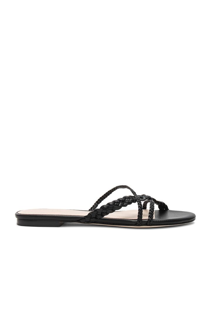 Emily Sandal