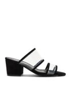 Ziggy Mule