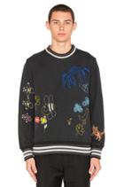 Children Embroidery Felpa