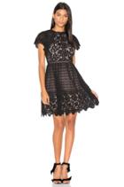 Lace Mix Dress