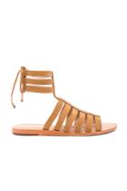Copacabana Nubuck Gladiator