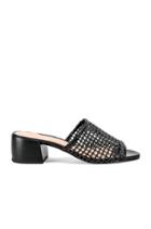 Lou Heel
