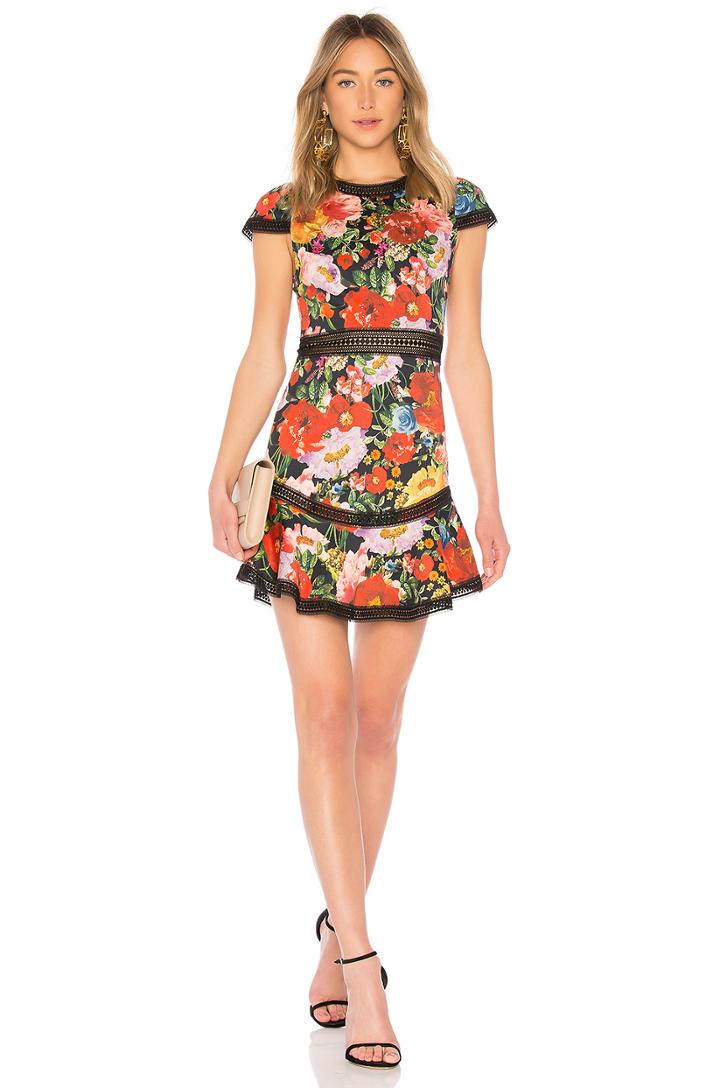 Rapunzel Fit Flare Dress