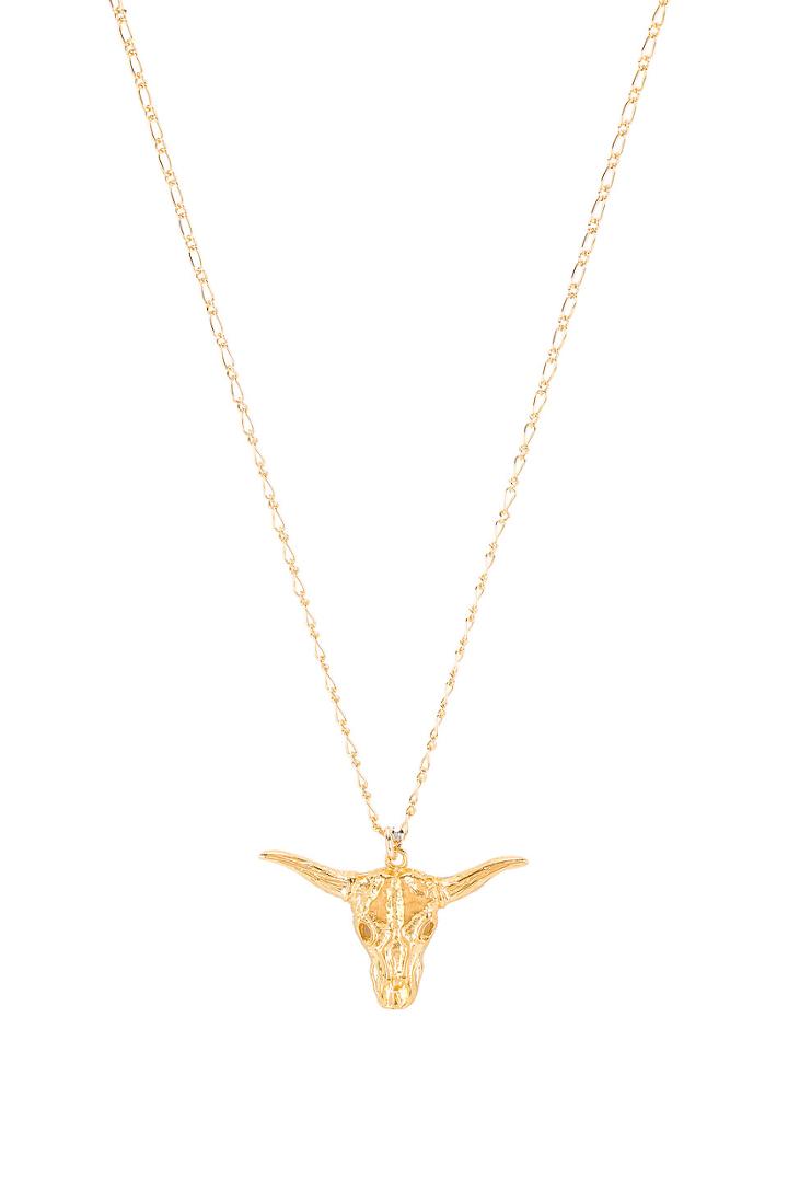 Big Horn Necklace