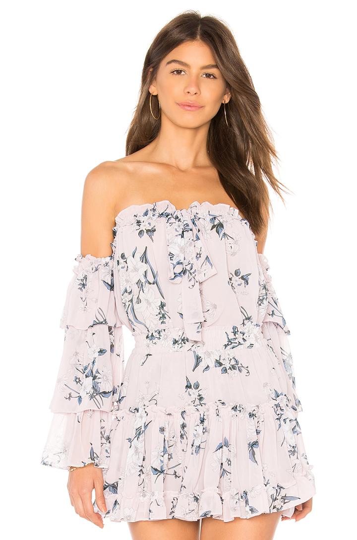Dittie Top