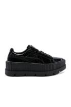 Pointy Patent Creeper