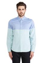 Oxford Button Down