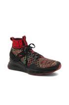 Ignite Evoknit Multicolor