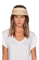 Eagle Bay Visor