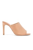 Bay Heel