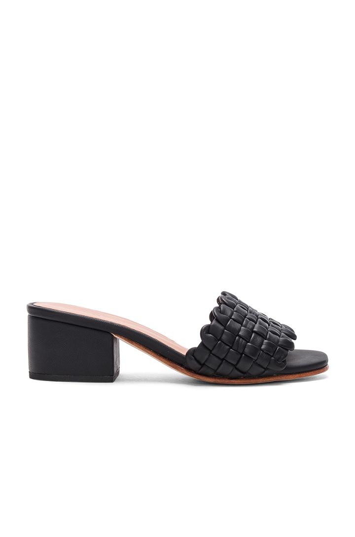Pentz Mule