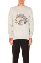 Lion Fish Knit Pullover