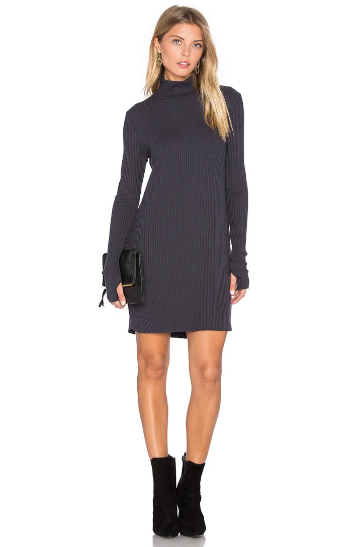 Muse Long Sleeve Turtleneck Dress