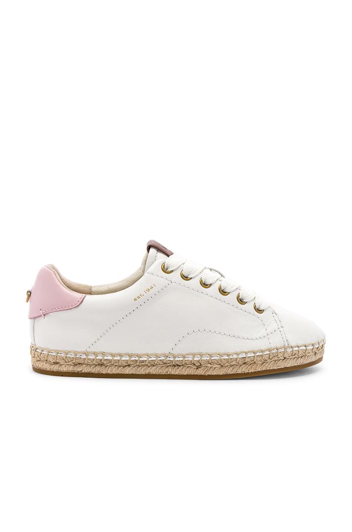 C101 Low Top Espadrille