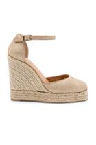 Carissa Wedge