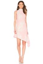 Enchanted Sleeveless Dress