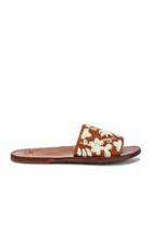 Lovebird Otami Slide