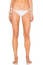 Dotty Avalon Bottom
