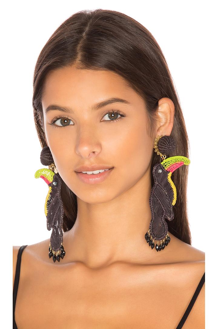 Tucan Earrings