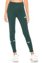 Amplified Leggings