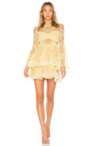 Chameleon Mini Dress