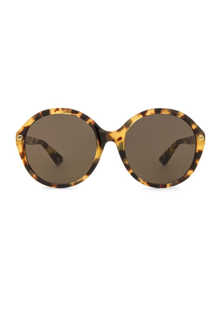 Oversize Round Acetate