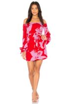 Dariela Dress