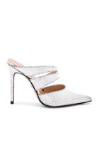 Kaela Mule