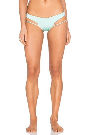 Zuma Bikini Bottom