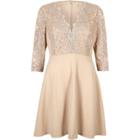 River Island Womens Nude Plunge Lace Skater Dress