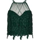 River Island Womens Leaf Lace Mesh Insert Bralette