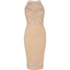 River Island Womens Lace Bodice Bodycon Mini Dress