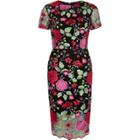 River Island Womens Embroidered Floral Mesh Dress