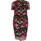 River Island Womens Plus Floral Embroidered Midi Dress