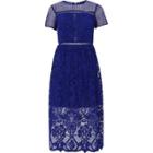 River Island Womens Bright Floral Lace Waisted Midi Dress