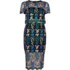 River Island Womens Floral Embroidered Dress