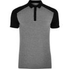 River Island Mensgrey And Muscle Fit Polo Shirt
