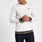 River Island Mens Wasp Embroidered Tipped Sweatshirt