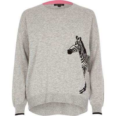 River Island Womens Zebra Print Knit Sweater