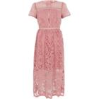 River Island Womens Floral Lace Waisted Midi Dress