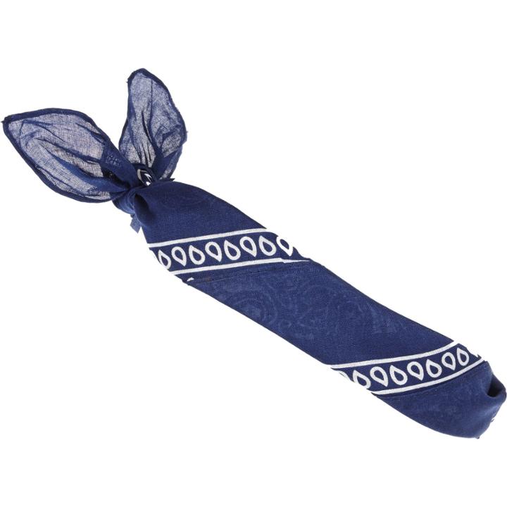 River Island Mensnavy Printed Bandana