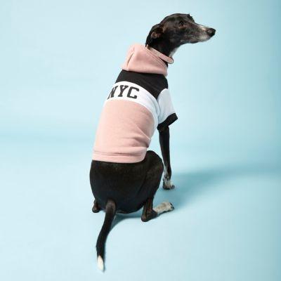River Island Womens Ri Dog 'nyc' Hoodie