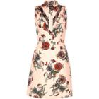 River Island Womens Print A-line Collar Dress